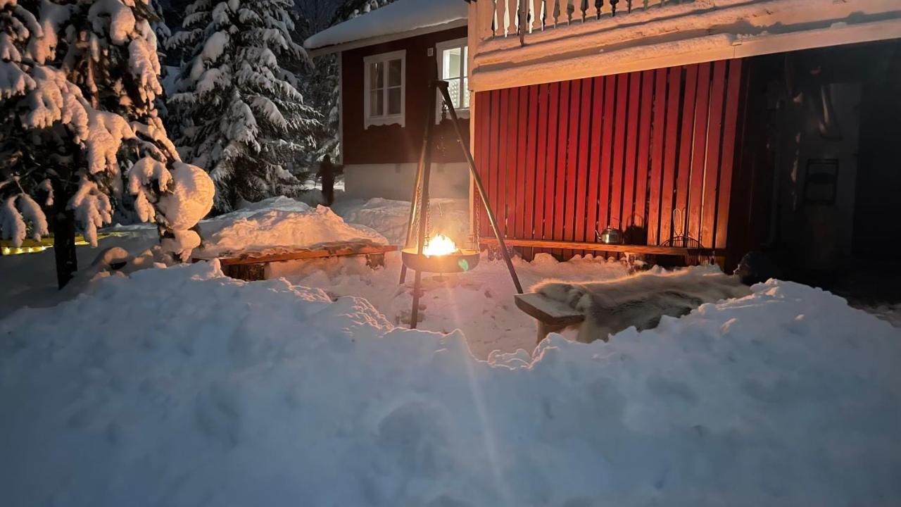 Mountain Cabin Lofsdalen Ngoại thất bức ảnh