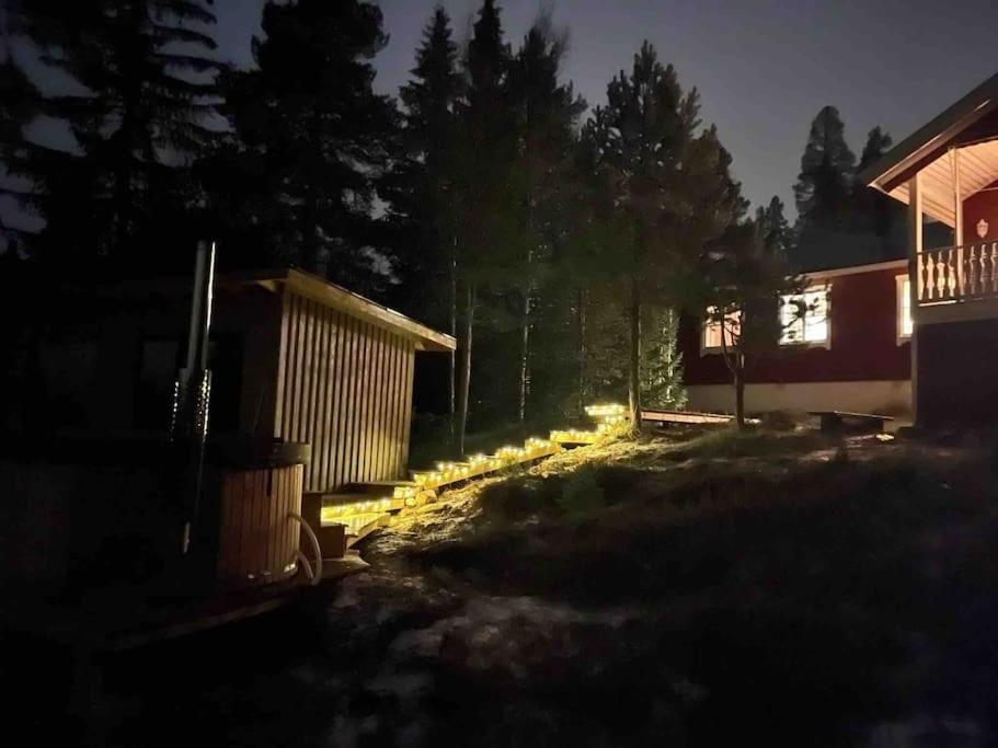 Mountain Cabin Lofsdalen Ngoại thất bức ảnh