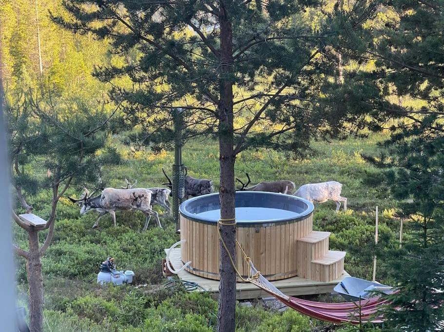 Mountain Cabin Lofsdalen Ngoại thất bức ảnh