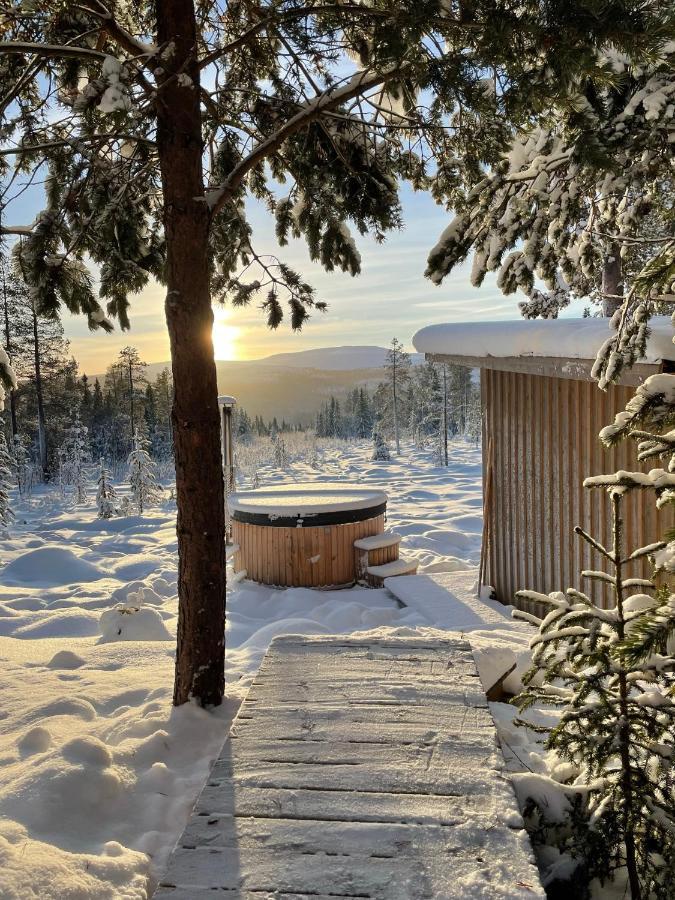 Mountain Cabin Lofsdalen Ngoại thất bức ảnh