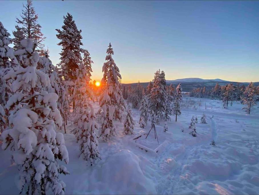 Mountain Cabin Lofsdalen Ngoại thất bức ảnh