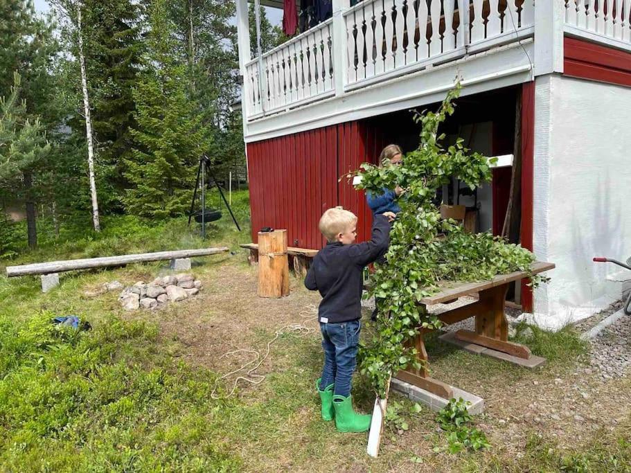 Mountain Cabin Lofsdalen Ngoại thất bức ảnh