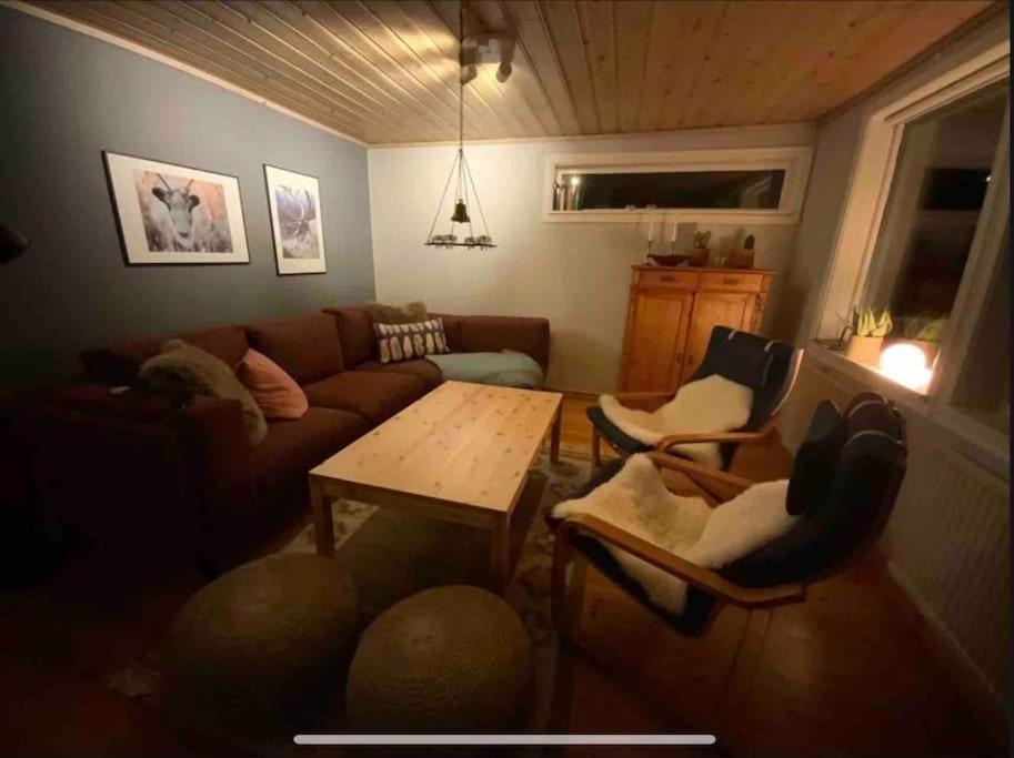 Mountain Cabin Lofsdalen Ngoại thất bức ảnh