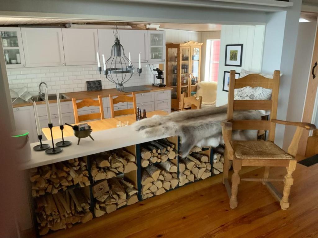 Mountain Cabin Lofsdalen Ngoại thất bức ảnh