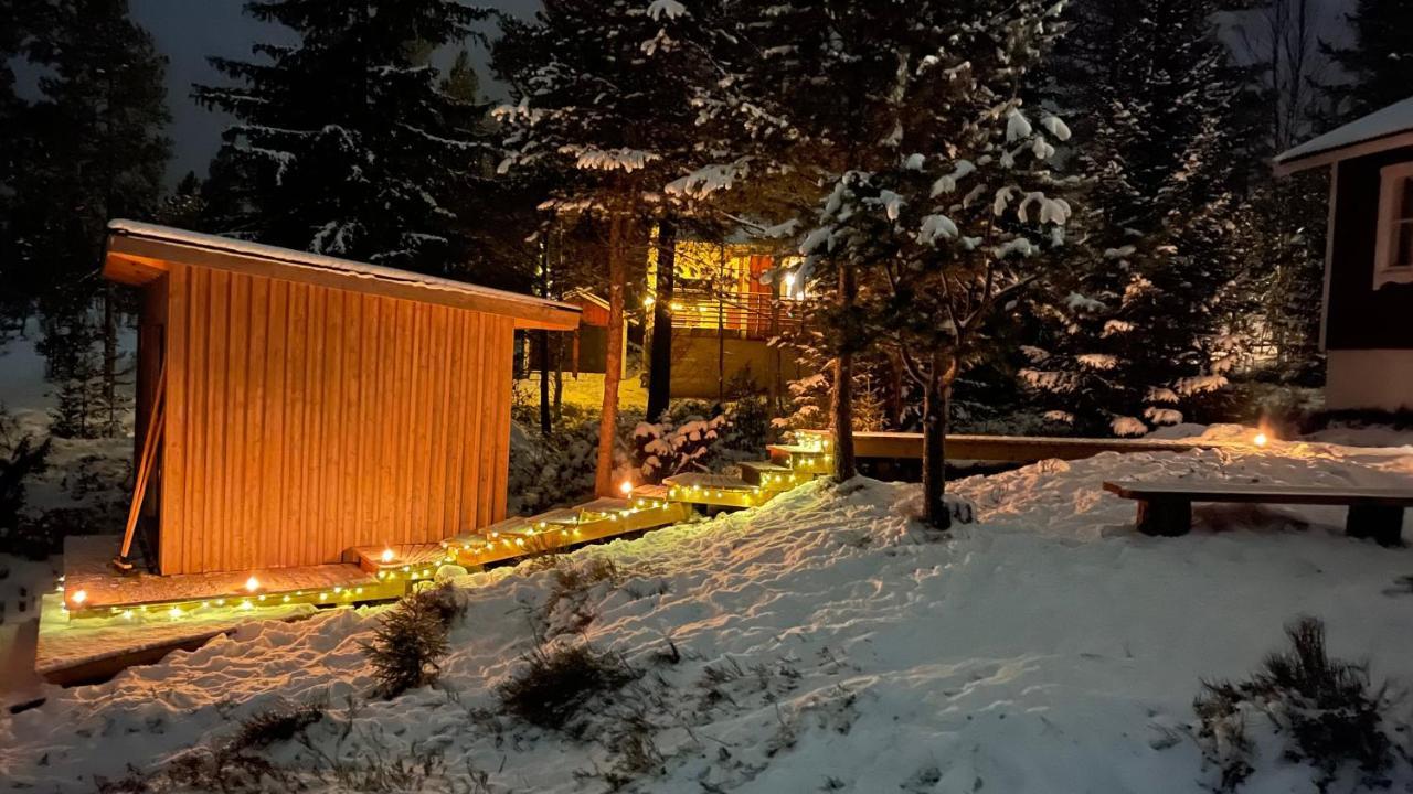Mountain Cabin Lofsdalen Ngoại thất bức ảnh