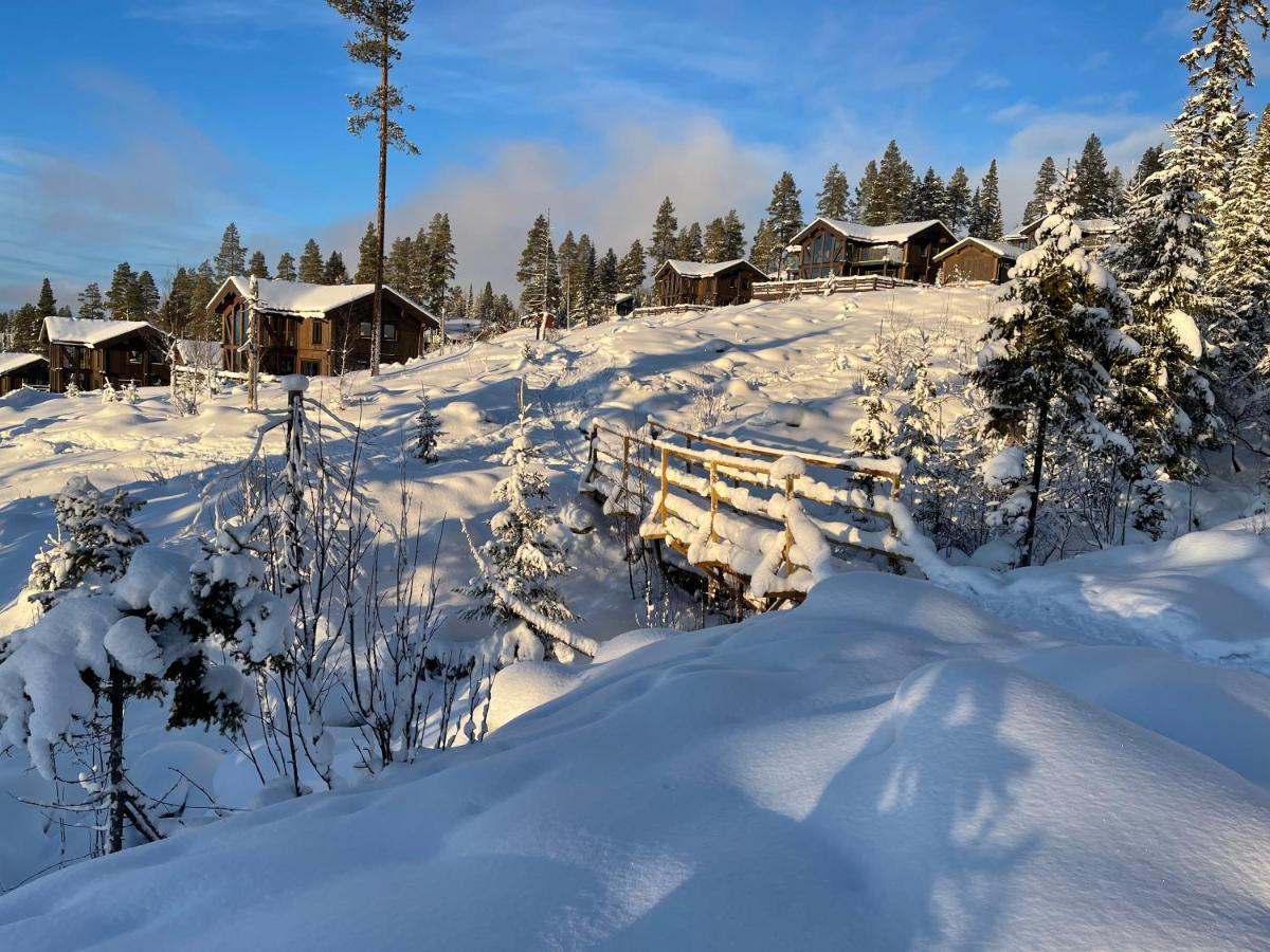 Mountain Cabin Lofsdalen Ngoại thất bức ảnh