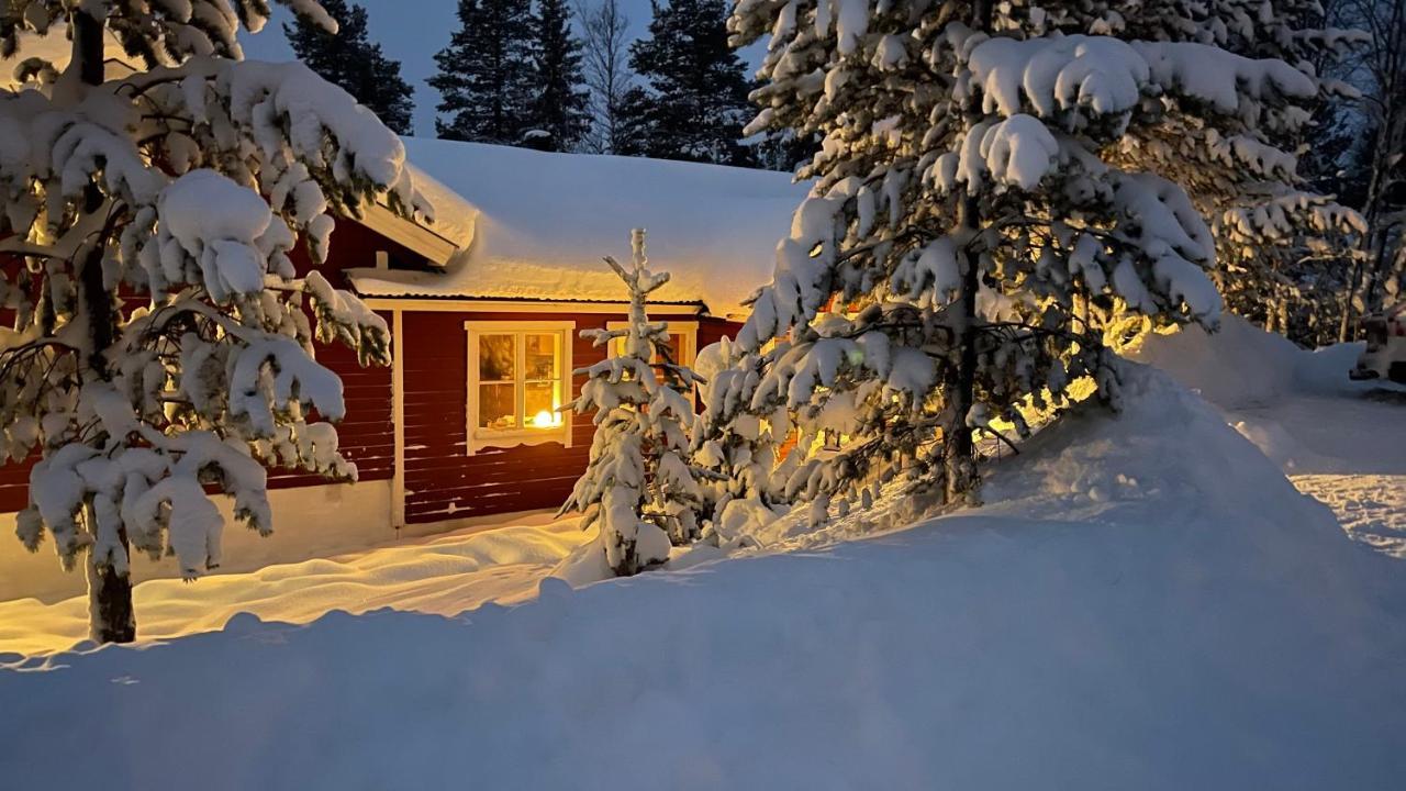 Mountain Cabin Lofsdalen Ngoại thất bức ảnh