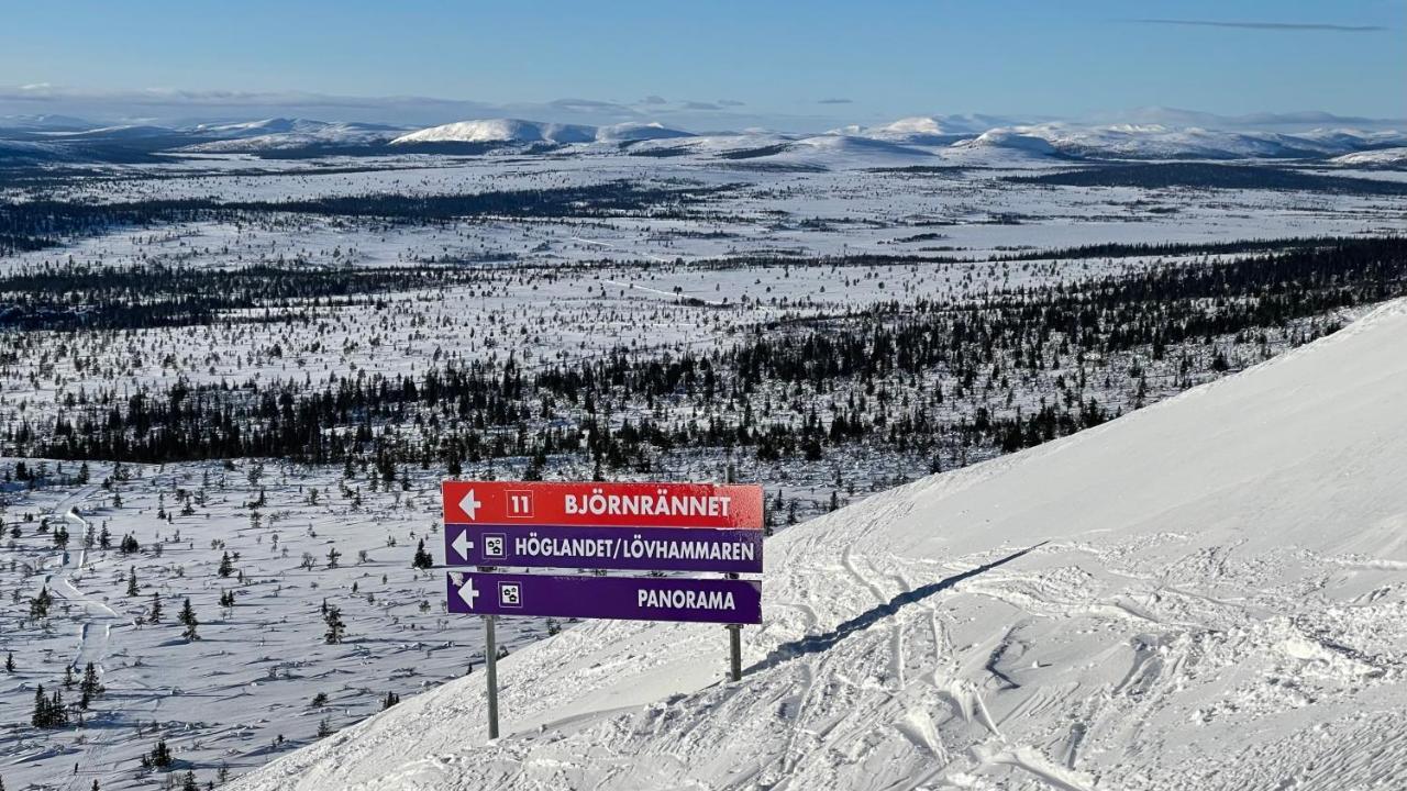 Mountain Cabin Lofsdalen Ngoại thất bức ảnh