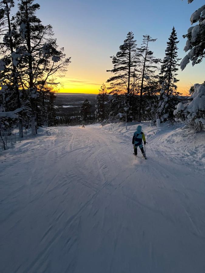 Mountain Cabin Lofsdalen Ngoại thất bức ảnh