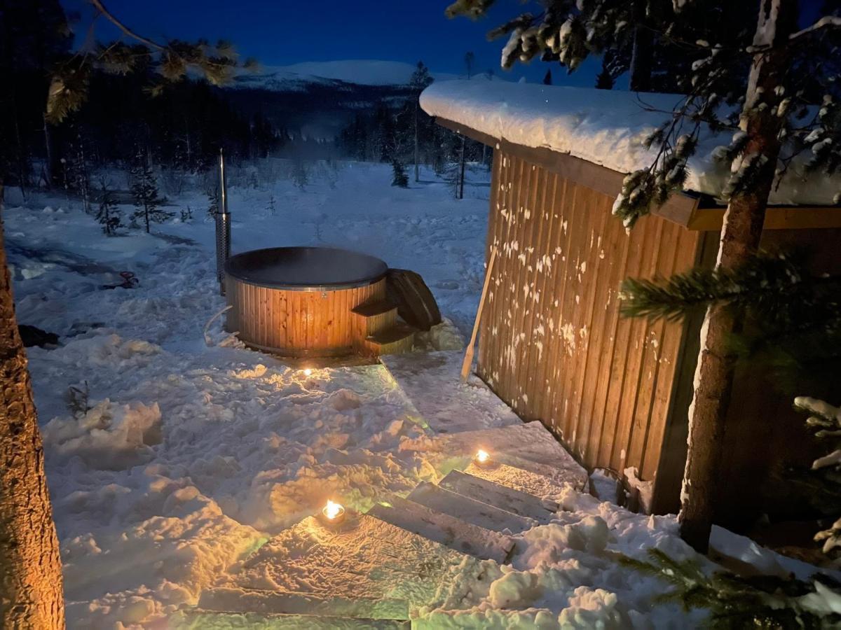 Mountain Cabin Lofsdalen Ngoại thất bức ảnh