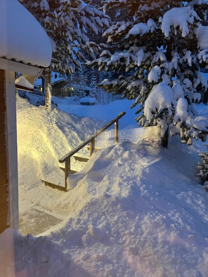 Mountain Cabin Lofsdalen Ngoại thất bức ảnh