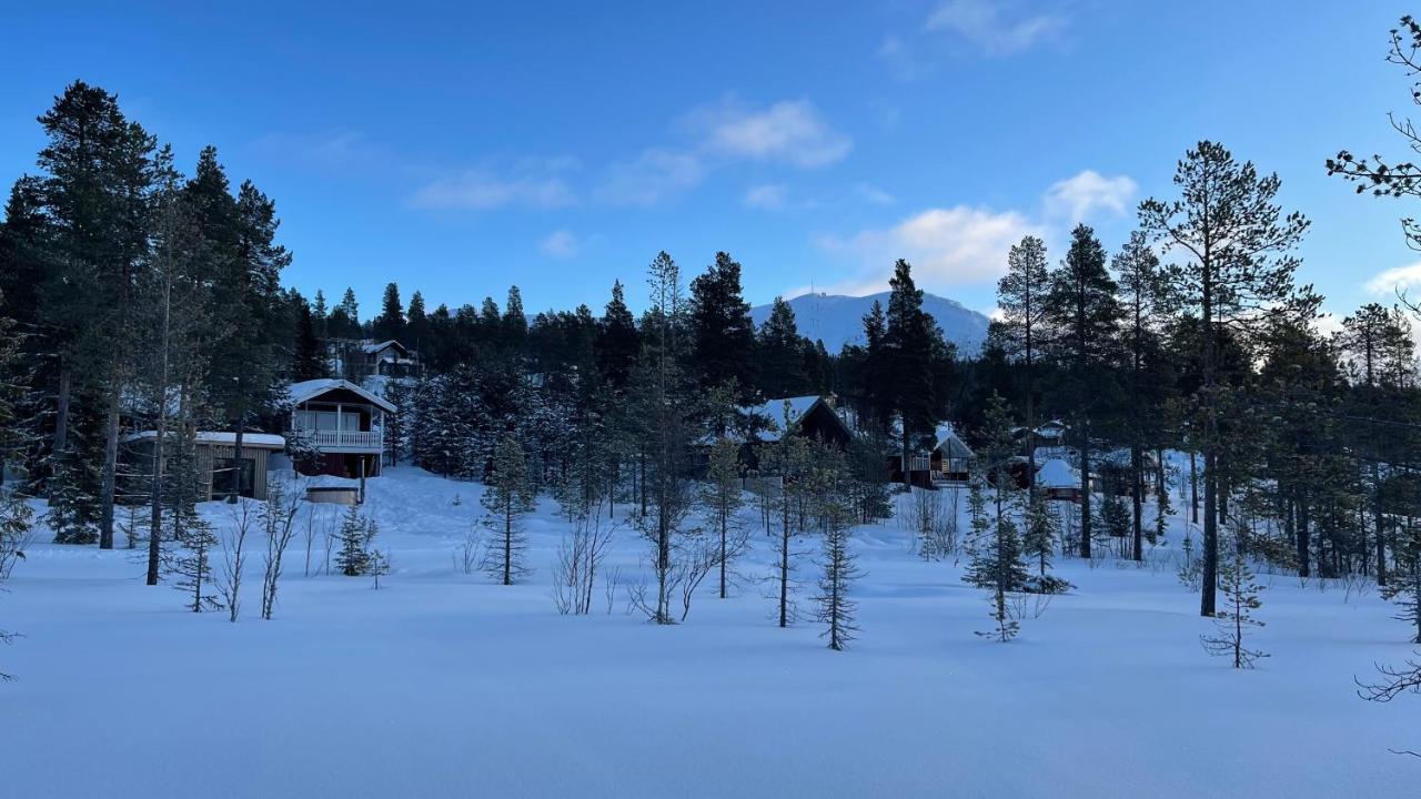 Mountain Cabin Lofsdalen Ngoại thất bức ảnh