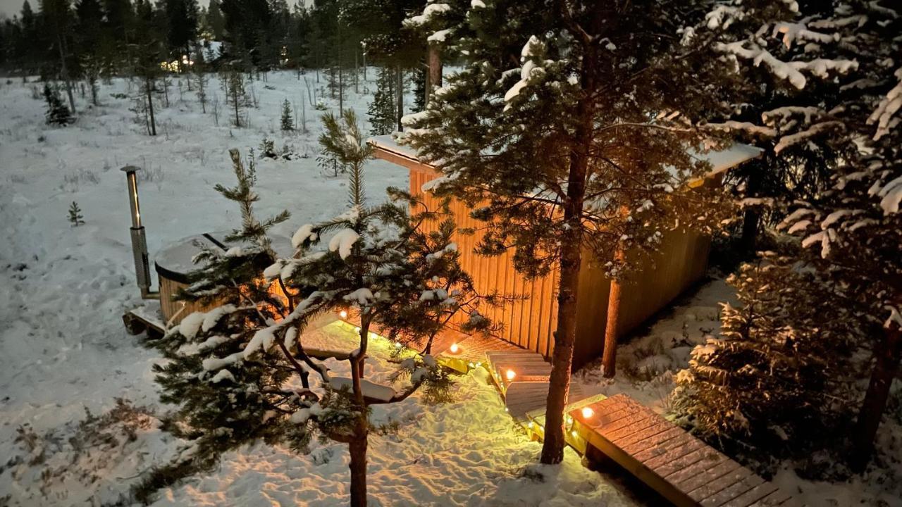 Mountain Cabin Lofsdalen Ngoại thất bức ảnh